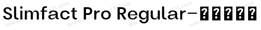 Slimfact Pro Regular字体转换